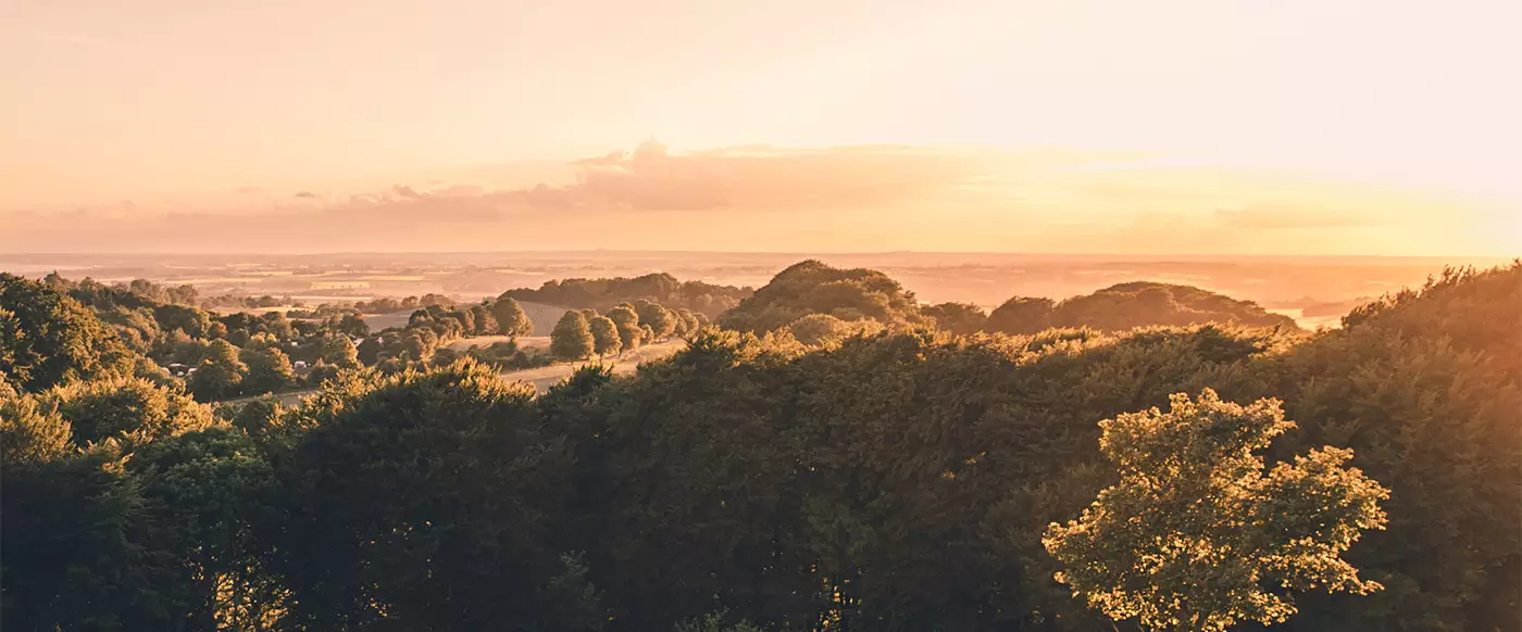 Udsigt over Møns Klint og Klinteskoven