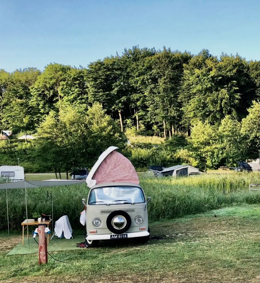 Camping ved Møns Klint, Camper
