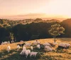 Landskab ved Høje Møn, tæt på Møns Klint